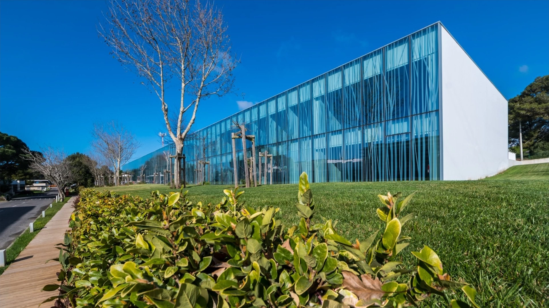 Cascais Office